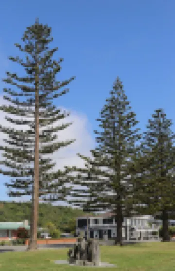 Sierra Beachfront Motel