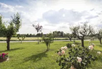 카메레 마리엘라