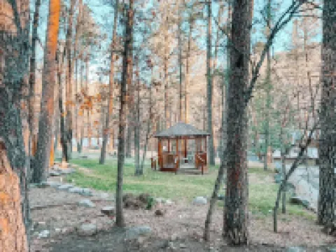 Private Forest Retreat | Ruidoso Couples Escape