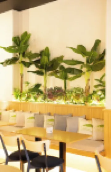 Boho Zentral Apartaments