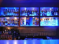 Hotel Ballerina - bar