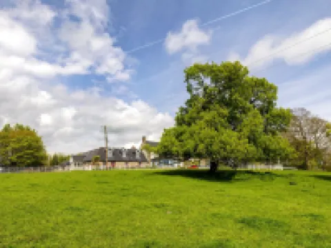 波因景觀之家酒店 米斯郡酒店