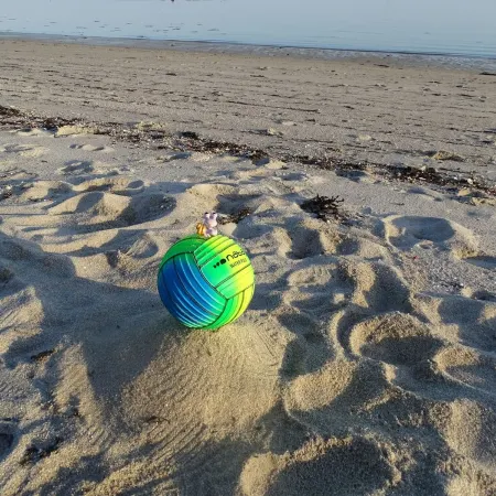 Independent Studio + Enclosed Garden in Penmarc'h. Plage du Ster 800m Away, LaTorche 5 Kms Away