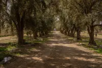 Maisonette with panoramic view and terrace Hotels in Taroudant