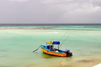 'Villa Jarrow',Beach Front, Beautiful Victorian Restored Property Hotels in Saint Lawrence