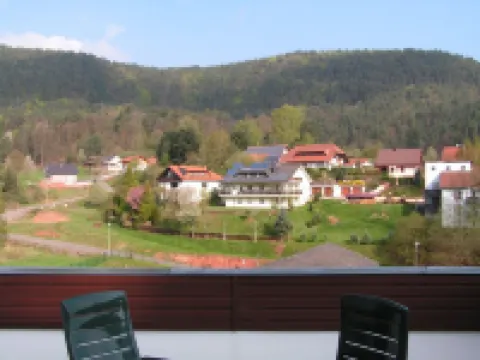 Holiday Waldblick Schwanheim with large terrace and stunning views