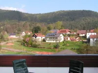 Holiday Waldblick Schwanheim with large terrace and stunning views