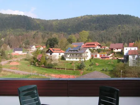 Holiday Waldblick Schwanheim with large terrace and stunning views Отели в г. Шванхайм