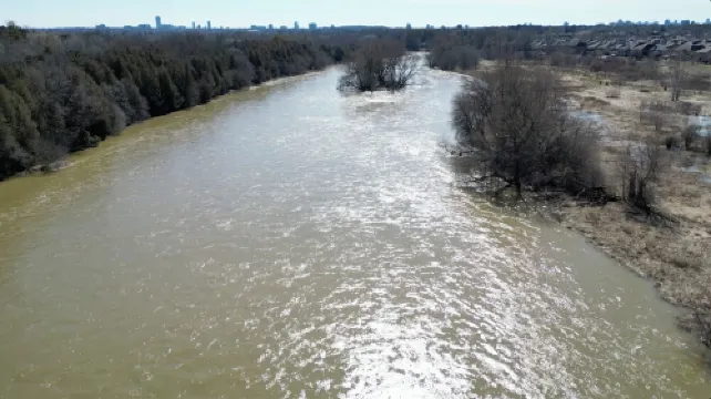 Beautiful Separate Unit near GrandRiver & Kiwanis Park