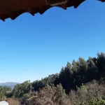 Casa do Lagar
