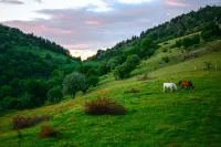 Guewenheim Haut-Rhin cottage for 4 people