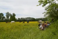 Mas Delgado, in the heart of the Luberon, at the foot of Mont Ventoux. Hotels in Monteux