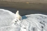 Historic summer house by the sea