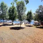 Bass Lake Escape-Near the Shore • Explore Yosemite • Close to the Pines Village