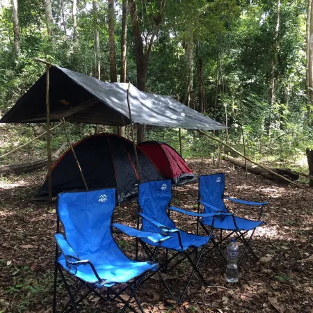 Pacaya Samiria Expeditions E.I.R.L