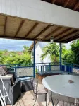 Bananaquit Tobago -Stay Near the Beach