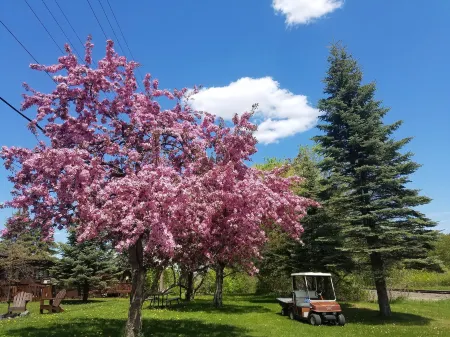 Willard Munger Inn Отели в г. Проктор