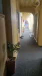 299 on Devon West - Pet friendly
