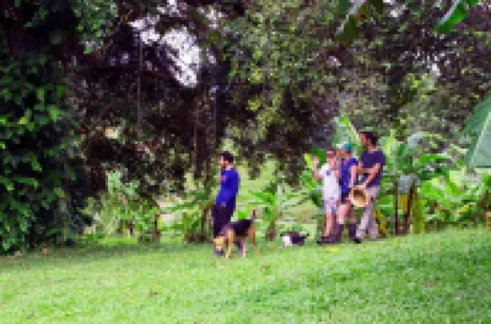 엘 카리베오 -네이처 로지  호텔