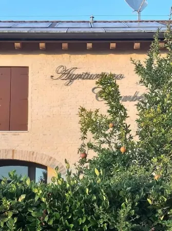 Agriturismo Colombera Отели в г. Куарто-д'Альтино