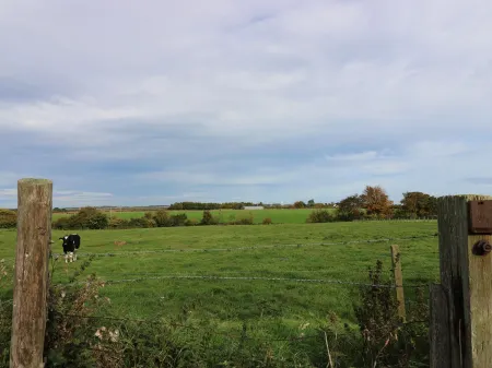 Sea Lily Отели рядом с достопримечательностью «The Lindisfarne Gospels Garden»