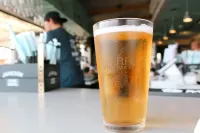 Montreal Beach Resort - bar