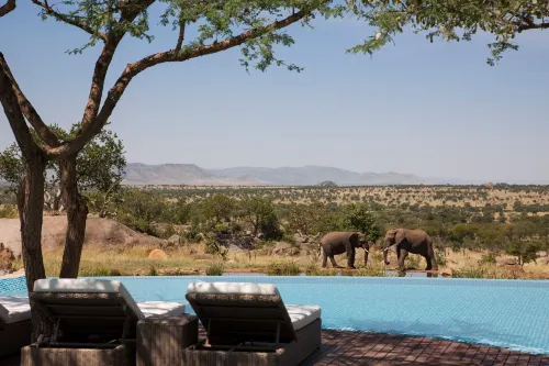 Four Seasons Safari Lodge Serengeti - bars