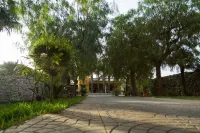 B&B Villa Fanizza - Bed and Breakfasts