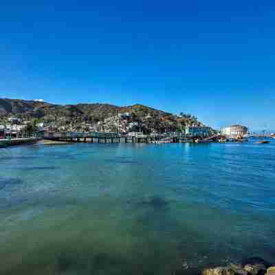 Central Catalina Cottage Walk to Ferry and Eateries Others