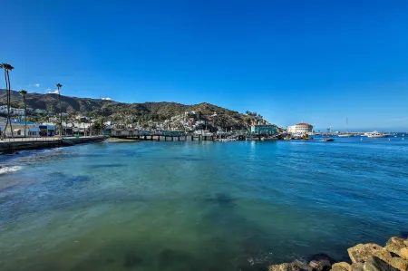 Central Catalina Cottage Walk to Ferry and Eateries Отели рядом с достопримечательностью «Райли Ботаникал Гарден»