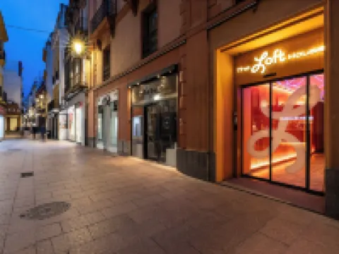 The Loft House Sevilla Hotels in Seville
