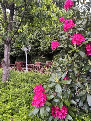 Amaya Hotel & Suites Soltau Hotels in Bergen