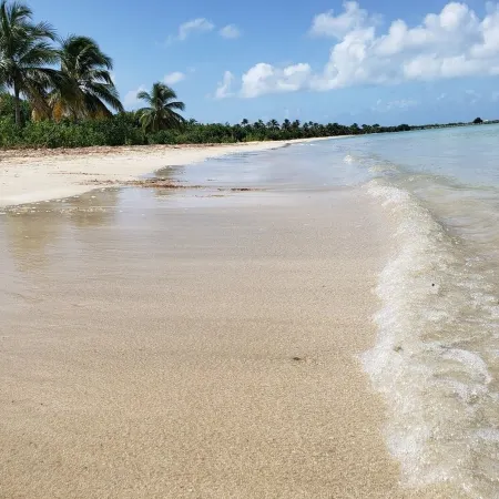 Steps from the Beach & Bio Bay Tours in Esperanza