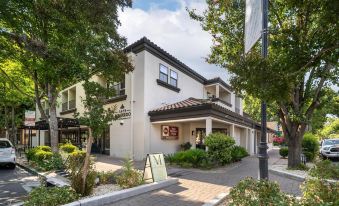 Best Western Plus Palm Court Hotel