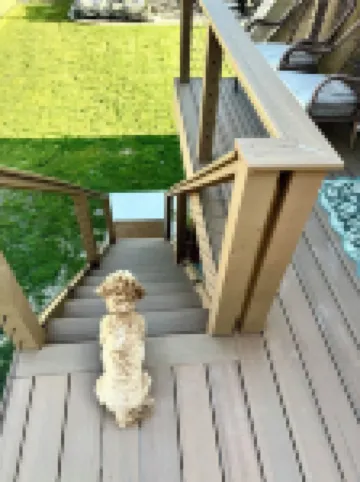 Rascal Ranch: Cozy 2-bed attic apartment close to Olde Town Arvada w/hot tub Hotels in Arvada