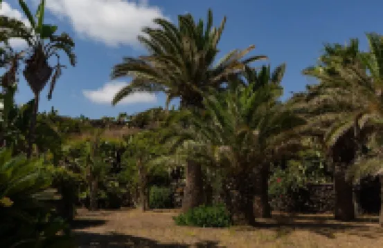 Bent El Rhia Villa Hôtels à : Pantelleria