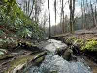 Incredible Smoky Mtn Lodge w/ Hot Tub Trails & Creek