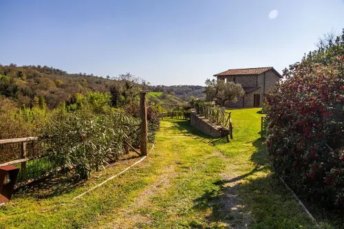 Your home with a view in Scansano, Tuscany