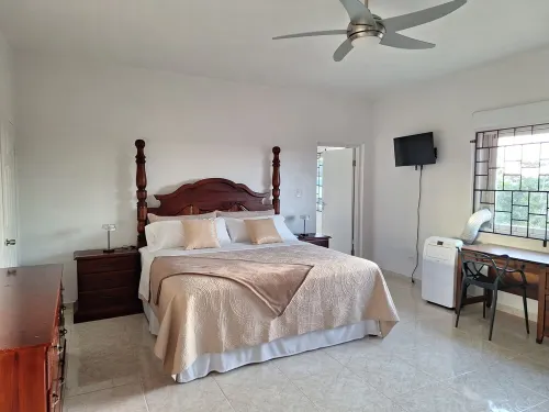 Stunning Nature-Views Studio Apartment