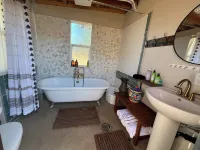 Unique Boutique Airstream Spartan in a Lavender Oasis Hotels near Aquatica Corals and Custom Aquariums