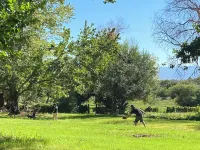 Meadowlands Cottage, Horse Ranch with Wood Burning Stove and a River, Hot Tub Hotels in Kernville