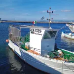 Tommy House : Incantevole Appartamento Vista Mare, Relax,sport,divertimento Hotels in Calasetta