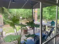 Lake view cabin&creek-Sam Houston national forest