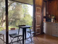 Pine Lodge - luxurious bungalow in nature Hotels in Valongo