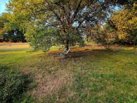 House 3 bedrooms, quiet, garden, view, near Sarlat 聖瑞利安德朗蓬住宿飯店