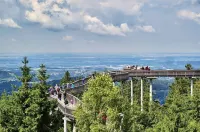Perfect family holiday in the mountain forest: pool, sauna and fantastic views