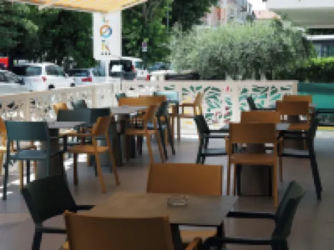 Color Hotel Rimini Hotels in Rivazzurra