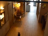 Hôtel des Druides Hotels in Quiberon
