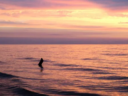 Holiday Home in Kopalino near Sea Beach Отели в г. Хочево