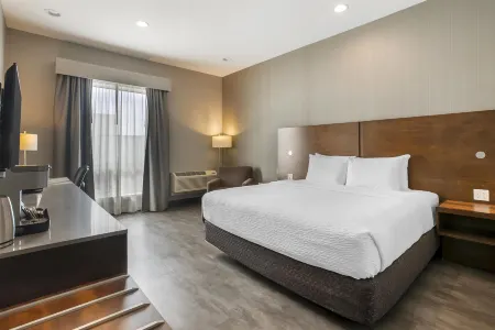 Best Western Plus East Side Отели рядом с достопримечательностью «Университет Саскачевана»